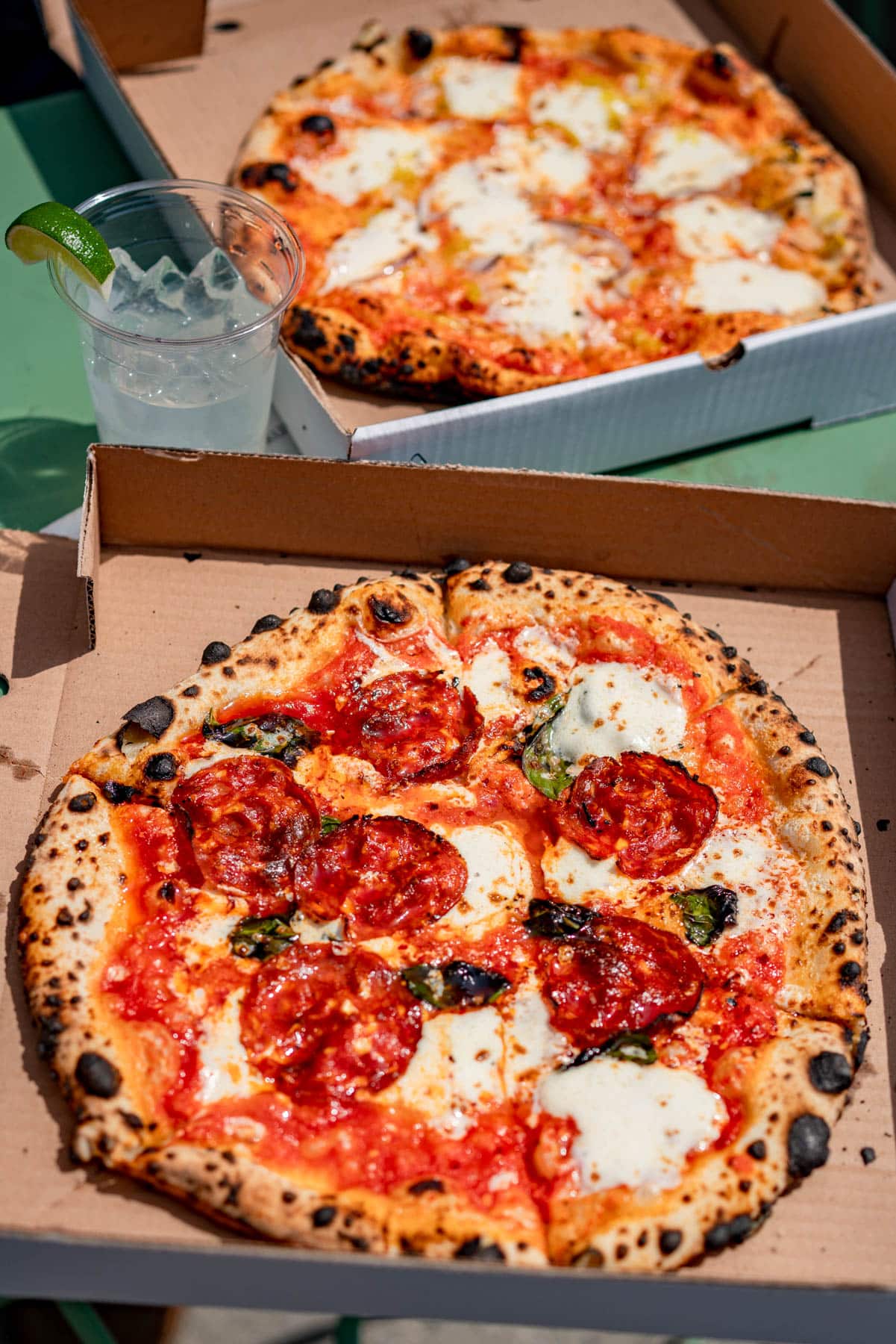 15 Best Pizza Joints in New York City (Definitive Local’s Guide)