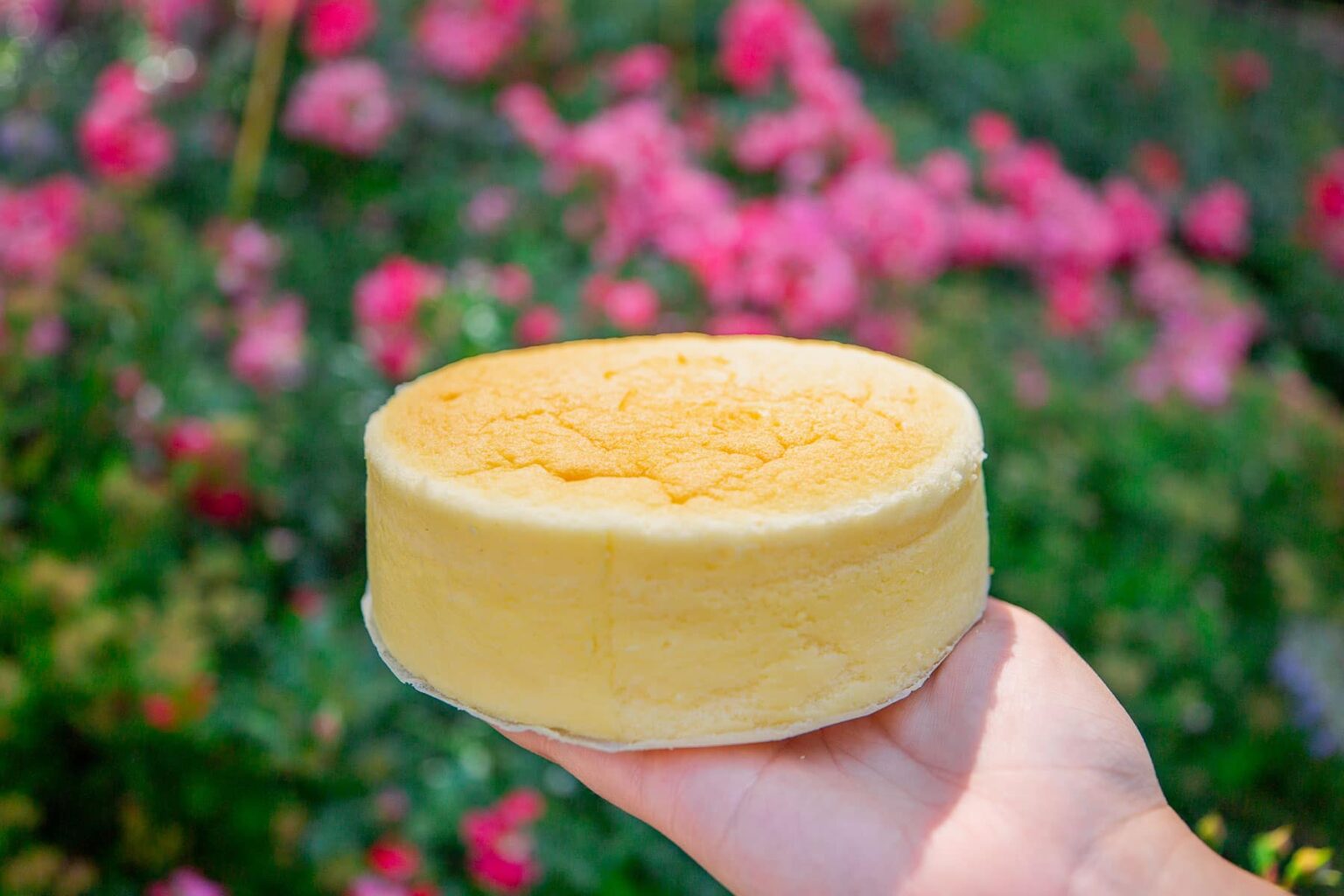 10+ Tasty Cheesecakes in New York City (And One to Avoid!)