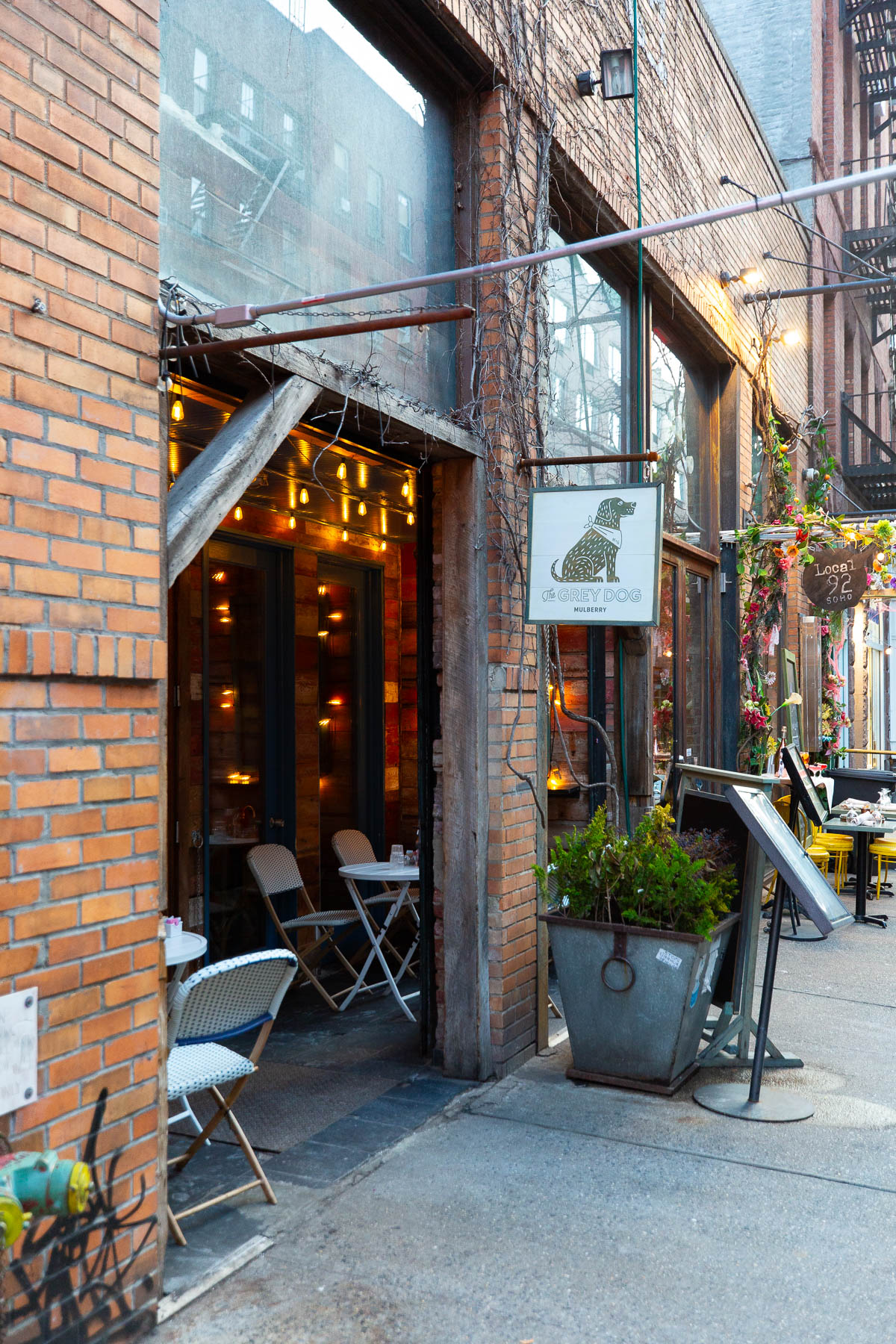 The Grey Dog in SoHo, Outside street shot