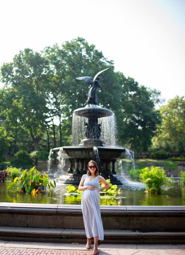 Helpful Guide to Visiting Central Park (Things to Do)