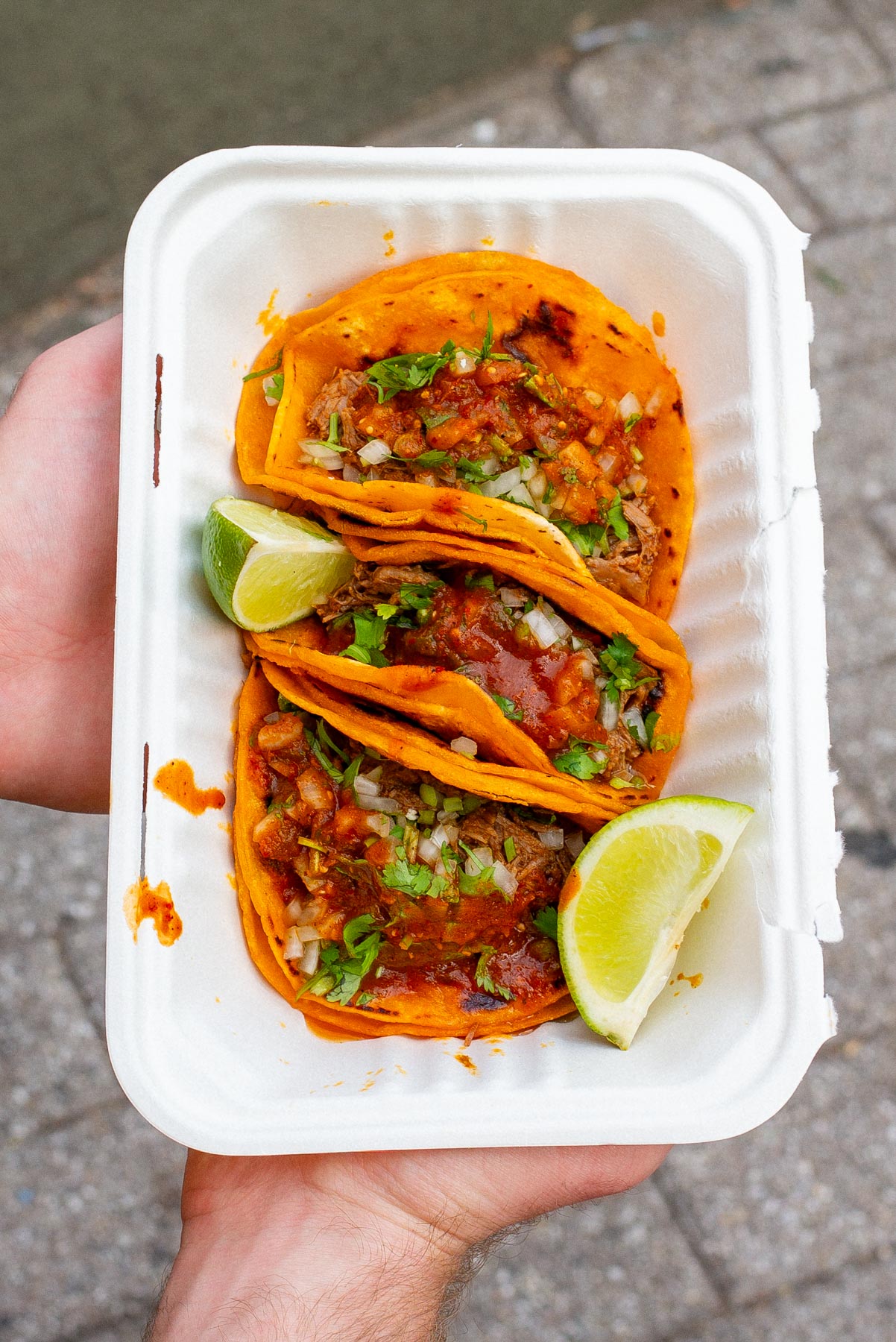 Birria Landia famous tacos nyc