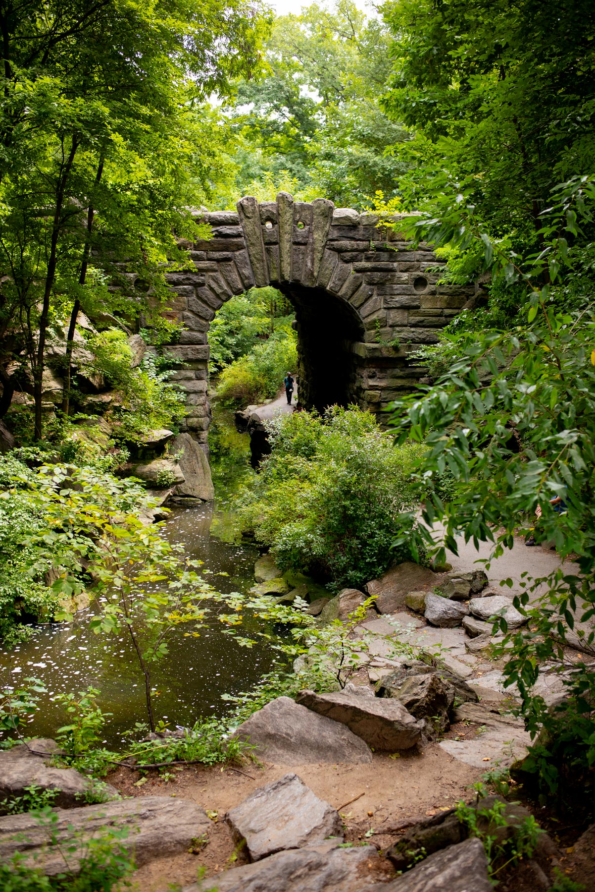 North Meadow Central Park