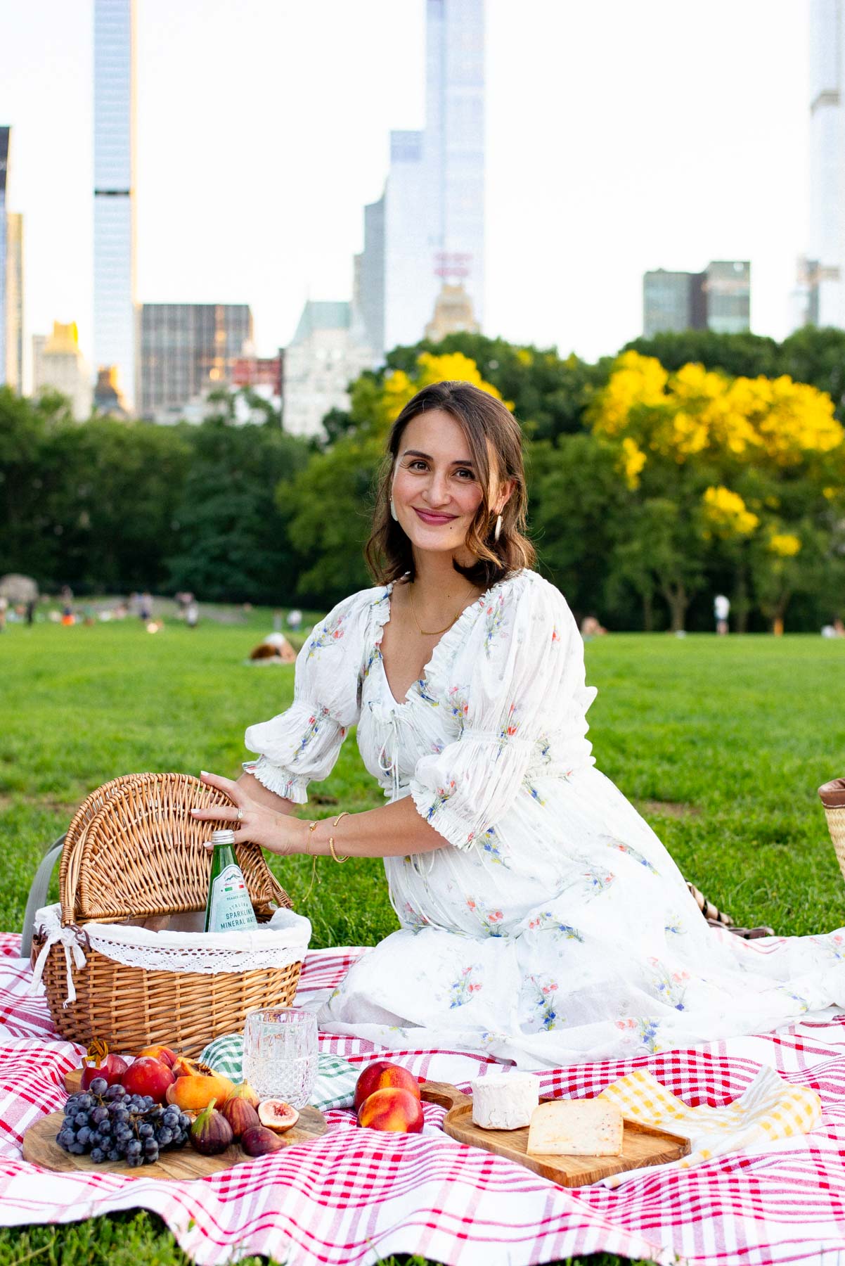 Central Park Picnic at Sheep Meadow
