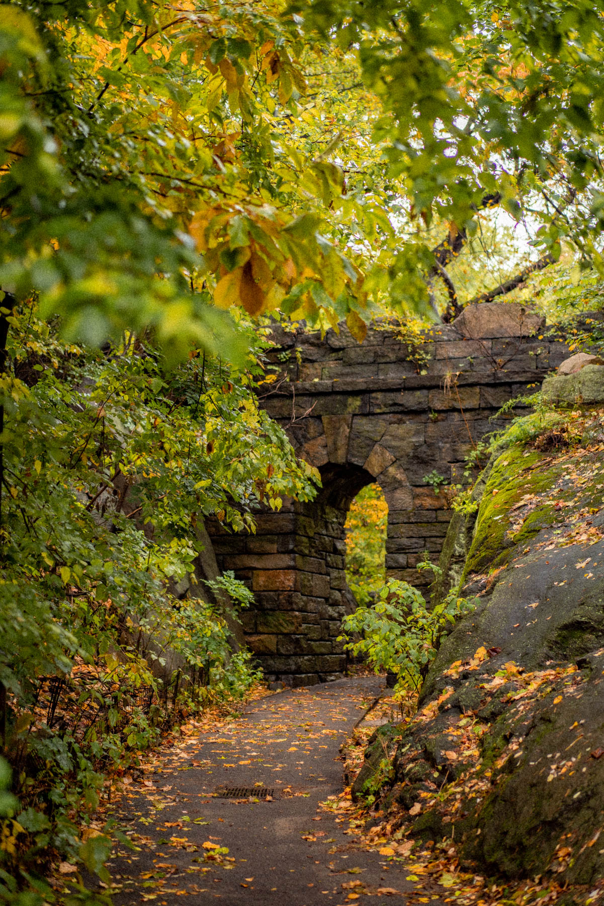The Ramble Central Park NYC